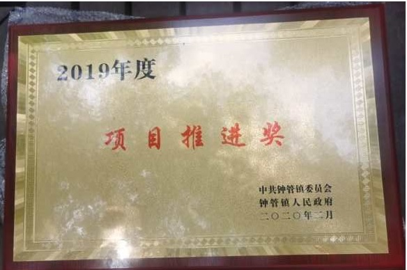 雨燕直播获得多项政府奖励